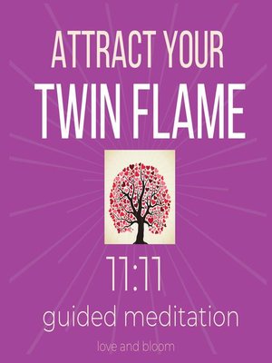 cover image of Attract your Twin Flame 11